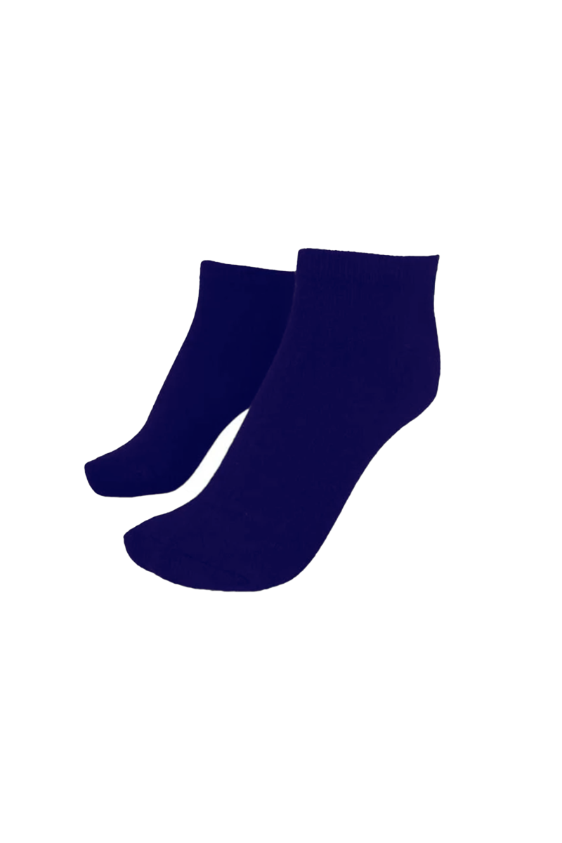 Bunnell Quarter Socks [2 Pack] Navy